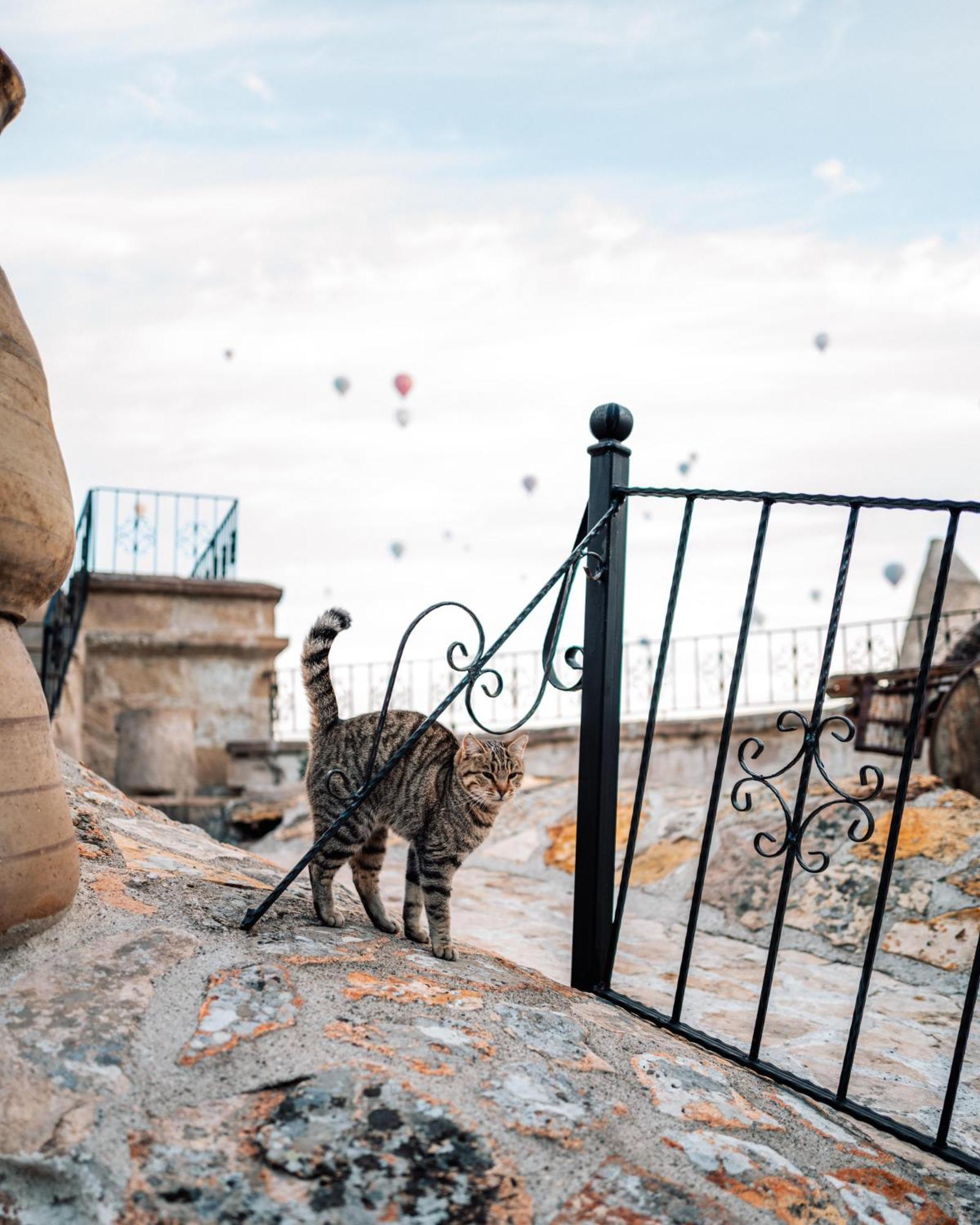 Cappadocia Cave Suites Adult Only Göreme Zewnętrze zdjęcie